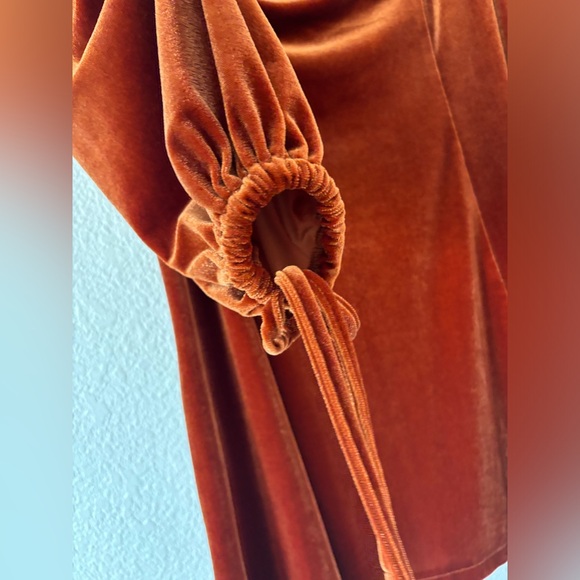 Rihoas Rust Velvet Velour Tie Sleeve Holiday Mini Dress - Picture 6 of 9